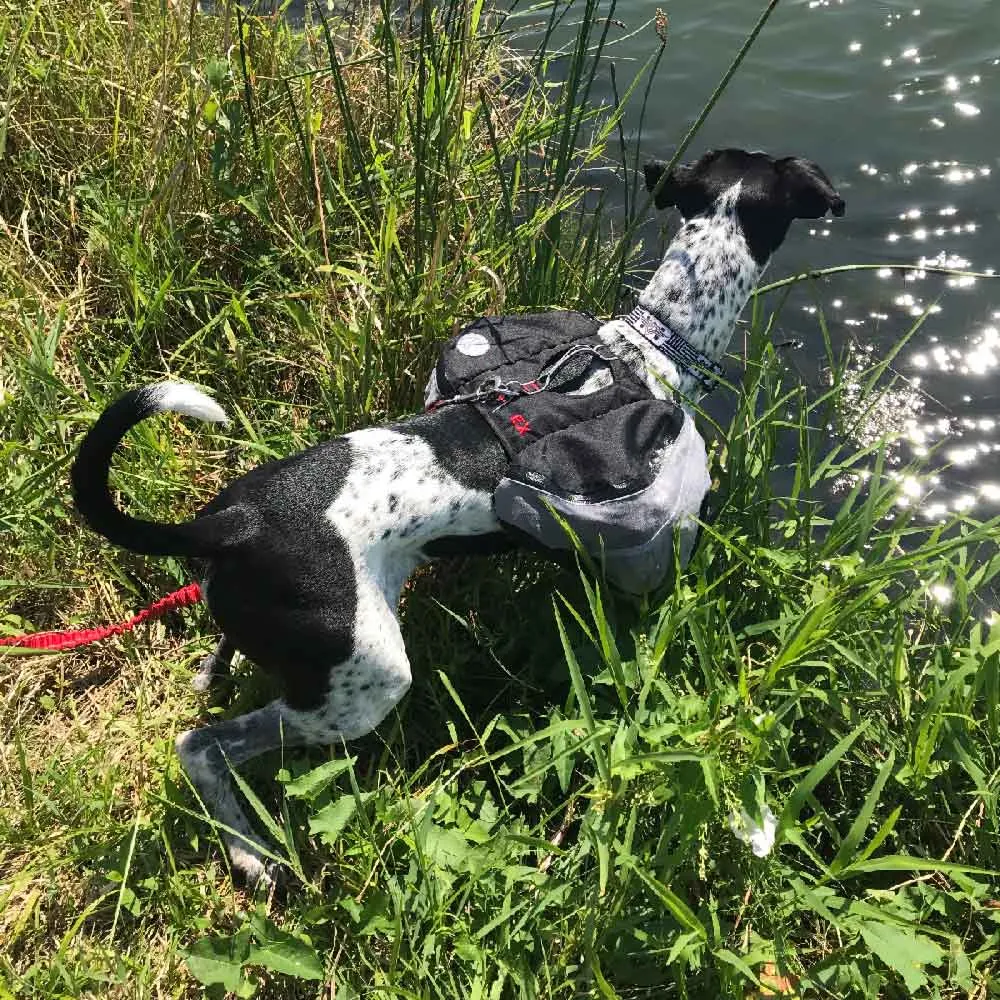 Doggles Extreme Backpack