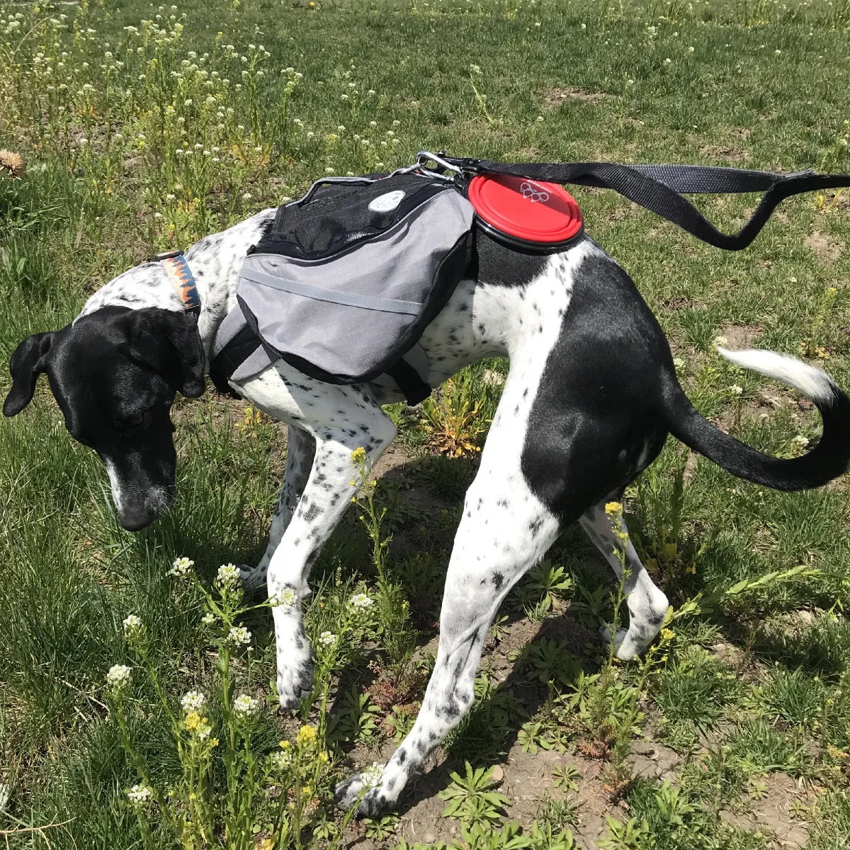 Doggles Extreme Backpack