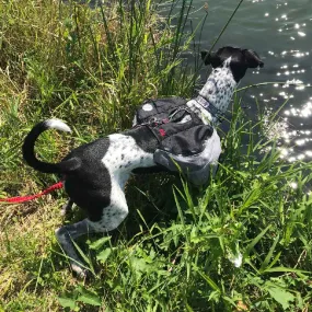 Doggles Extreme Backpack