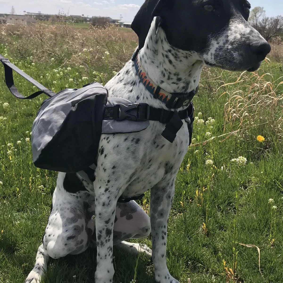 Doggles Extreme Backpack