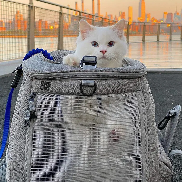 Travel Cat Navigator Backpack Convertible